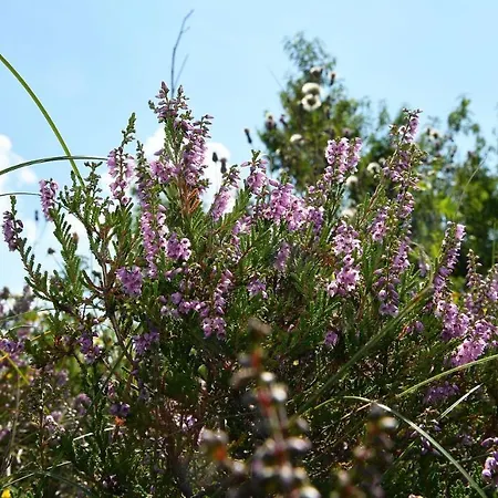 Διαμέρισμα Strandhochhaus Shc2 *